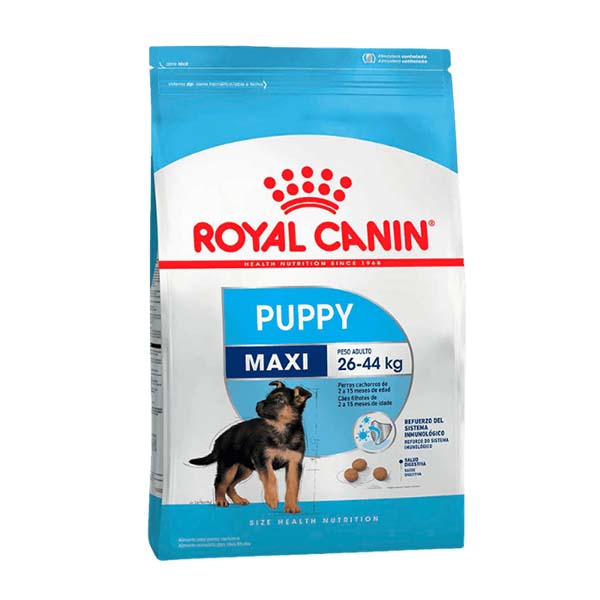 Xxx Bangle 3gp Video Dowloden Dog - Royal Canin Perro Maxi Puppy x 3 kg - El Arca Rosario