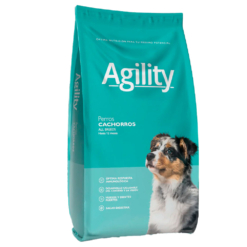 Agility Perro Cachorro