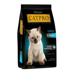 Catpro Gato Cachorro (Kitten)
