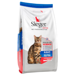 Sieger Katze Adulto