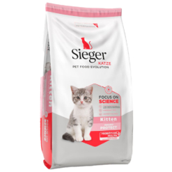 Sieger Katze Kitten