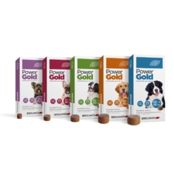 Bocadito Power Gold Pulgas y Garrapatas (3 meses)